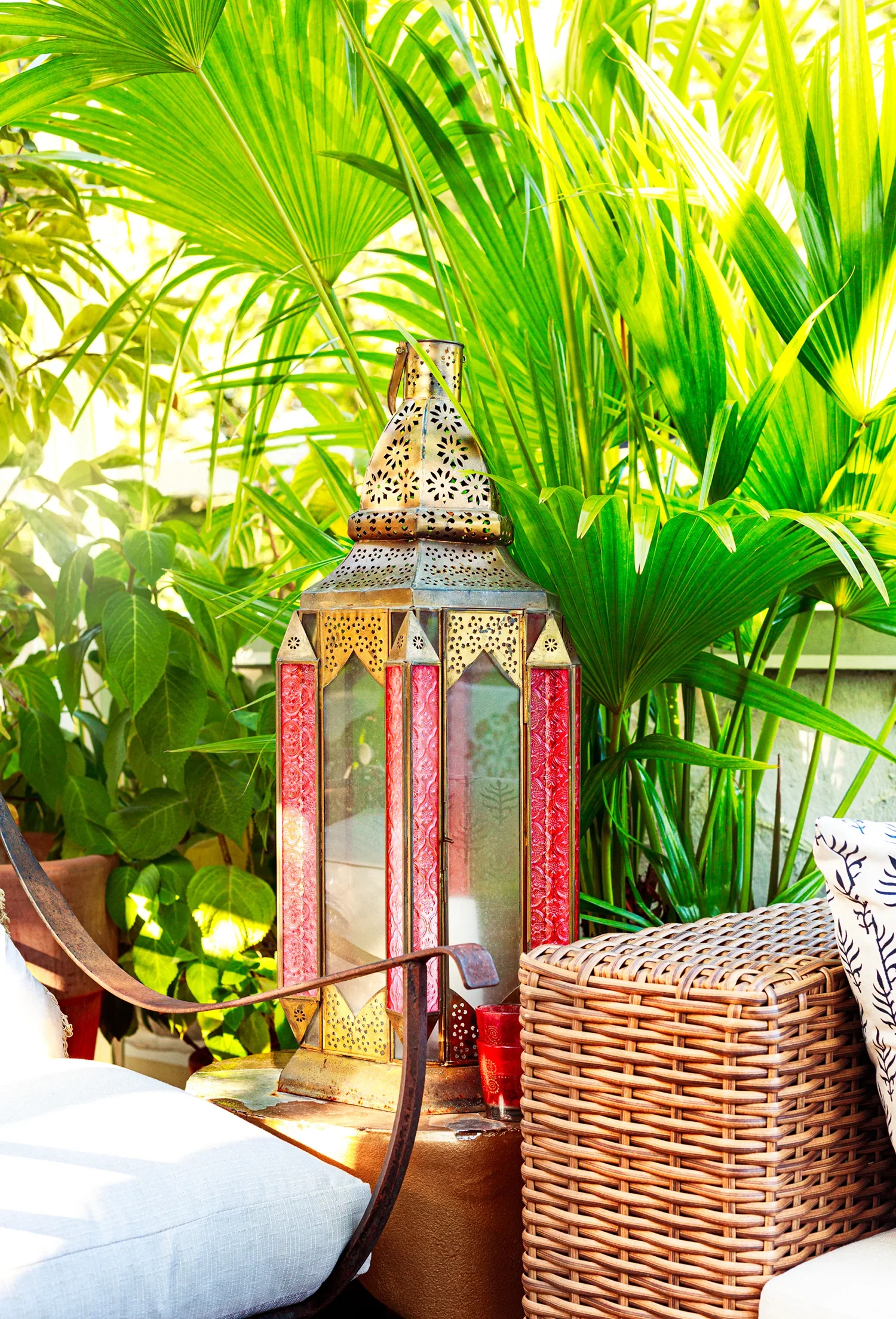 Benjamin Edward Birch Garden and Patio Photography Toronto Ontario Canada Outdoor Spaces Outdoor Garden Rooftop Terrace